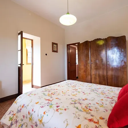 La Casa Del Aguacate, Avocado House Breña Baja