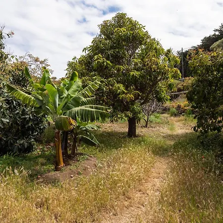 La Casa Del Aguacate, Avocado House *