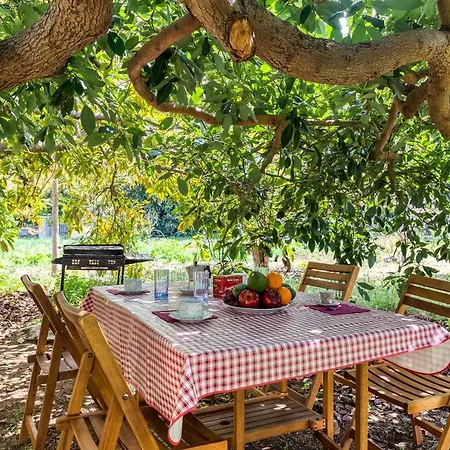 Сasa de vacaciones La Casa Del Aguacate, Avocado House Breña Baja