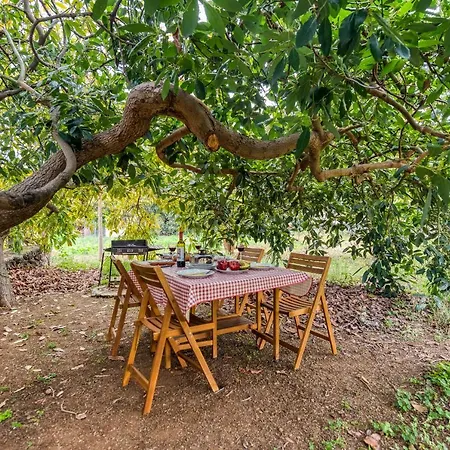 La Casa Del Aguacate, Avocado House